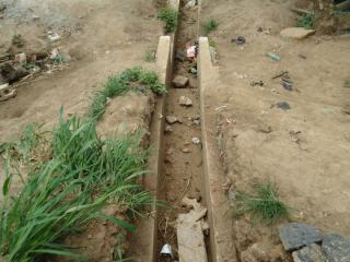 545411_10151650885691992_1773682141_n