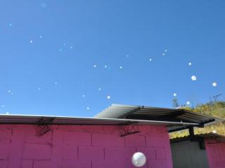 16495_10152049936641992_1062624272_n