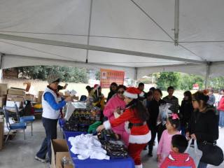 1534385_10152599763726992_335273047_n