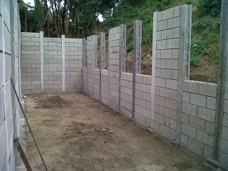 img00028-20120219-1557