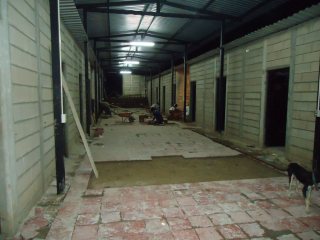 dsc05409-7