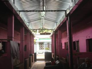 1016391_534132489982385_1227123403_n